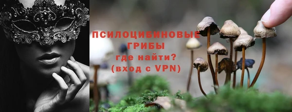 спиды Абаза