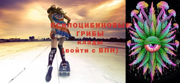 соль ск Абдулино