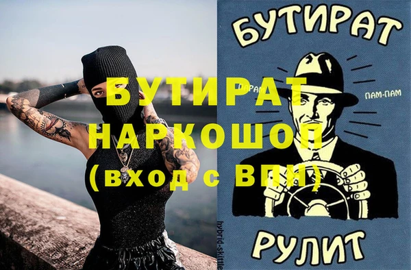 дживик Няндома